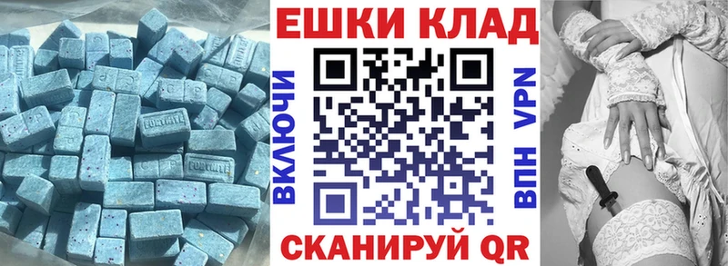 ЭКСТАЗИ Philipp Plein  Купить  Грязи 